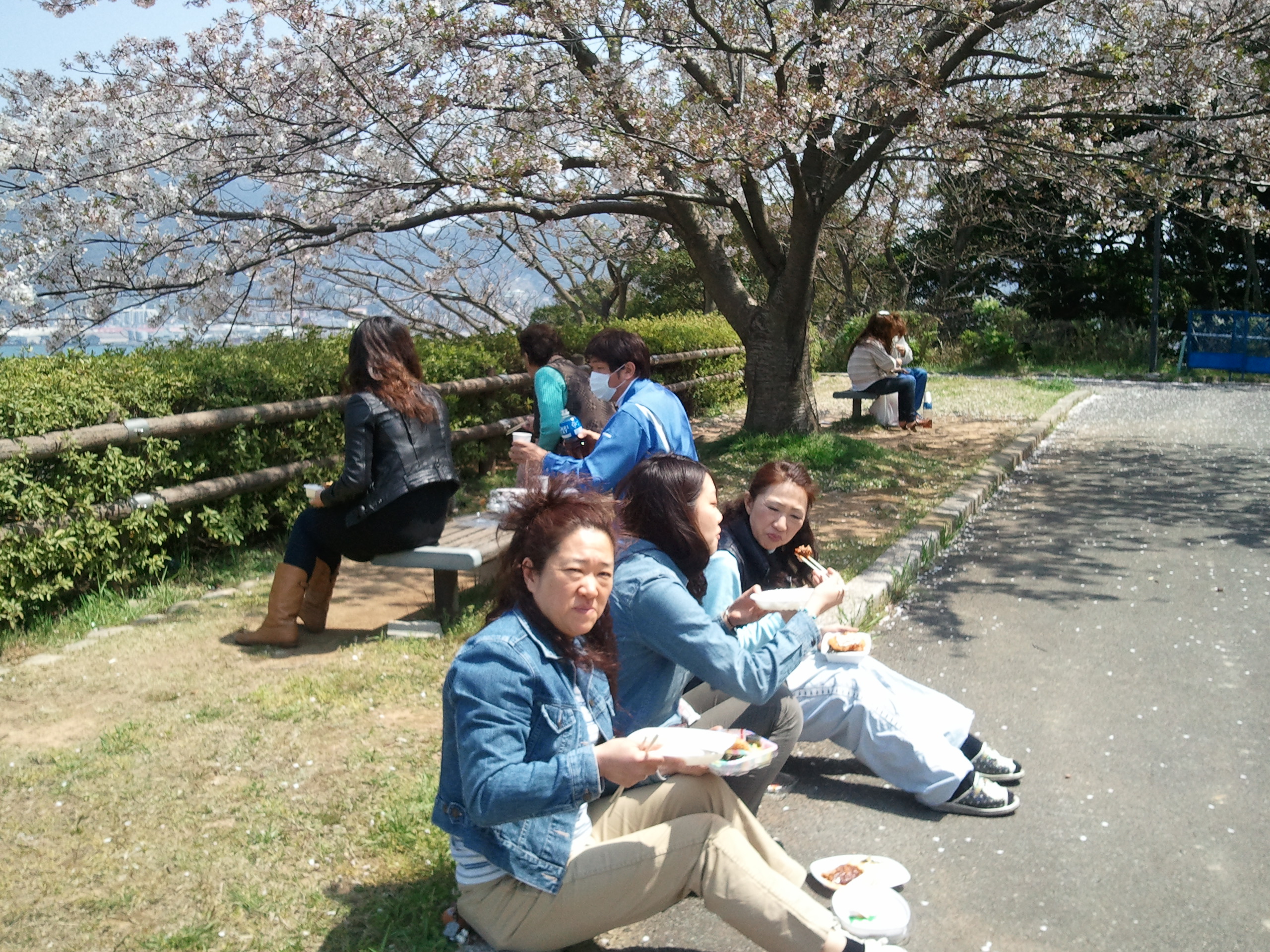 2011-04-12 12.29.52.jpg